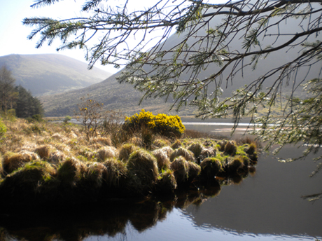 Ireland