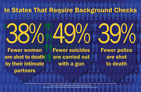Background Checks Infographic